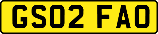 GS02FAO