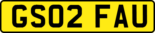 GS02FAU