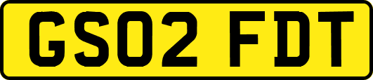 GS02FDT