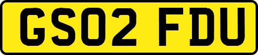 GS02FDU