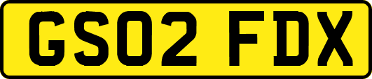GS02FDX