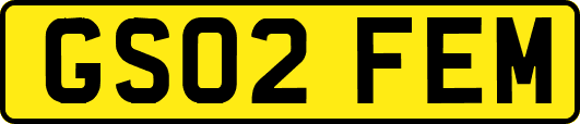 GS02FEM