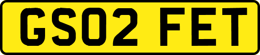 GS02FET
