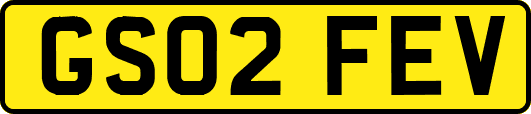 GS02FEV