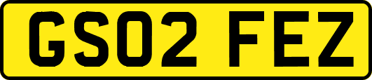 GS02FEZ