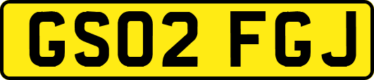 GS02FGJ