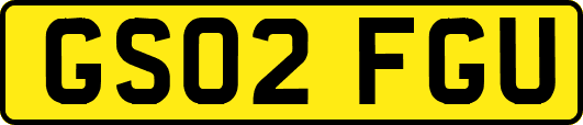 GS02FGU