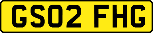 GS02FHG