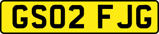 GS02FJG