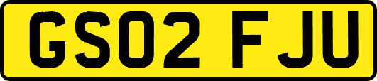 GS02FJU