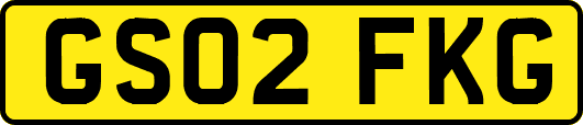 GS02FKG