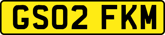 GS02FKM