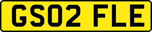 GS02FLE