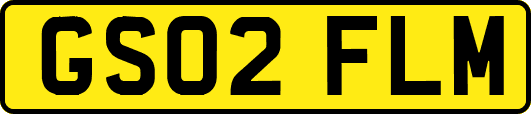 GS02FLM