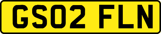 GS02FLN