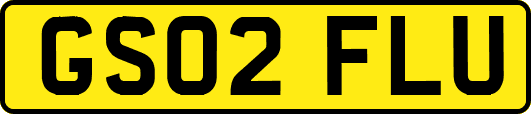 GS02FLU