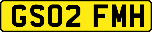 GS02FMH
