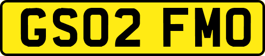 GS02FMO