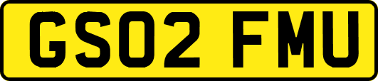 GS02FMU