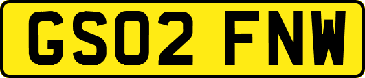 GS02FNW