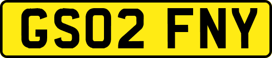 GS02FNY