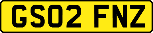 GS02FNZ