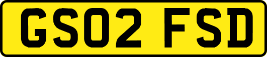 GS02FSD