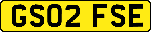 GS02FSE