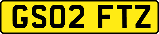 GS02FTZ