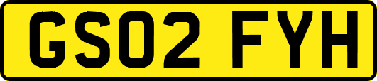 GS02FYH