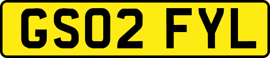 GS02FYL