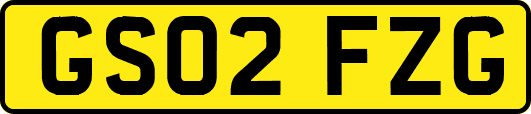 GS02FZG