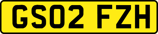 GS02FZH