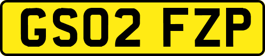 GS02FZP