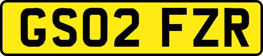 GS02FZR