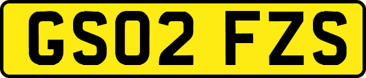 GS02FZS