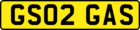 GS02GAS