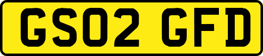 GS02GFD