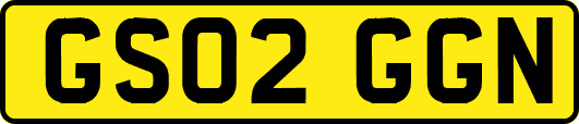 GS02GGN