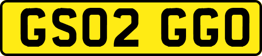 GS02GGO