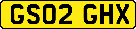 GS02GHX