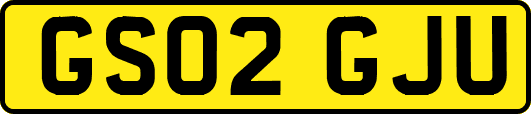 GS02GJU