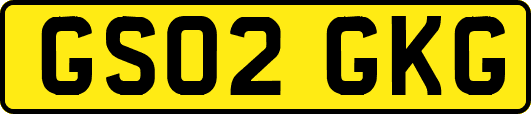 GS02GKG