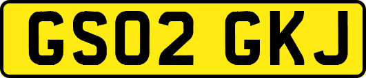 GS02GKJ