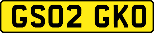 GS02GKO