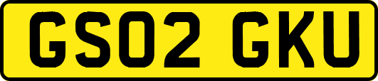 GS02GKU