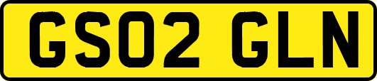 GS02GLN
