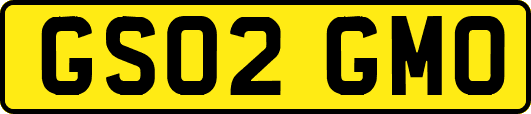 GS02GMO