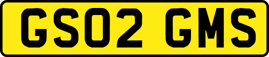GS02GMS