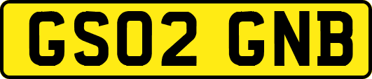 GS02GNB